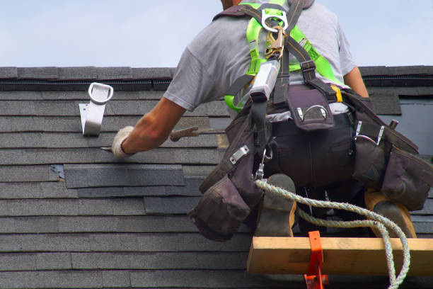 Roof Gutter Cleaning in Unionville, MO